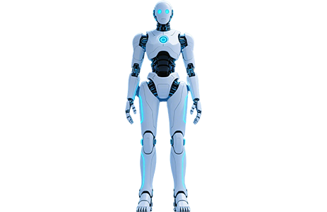 Humanoid Robot