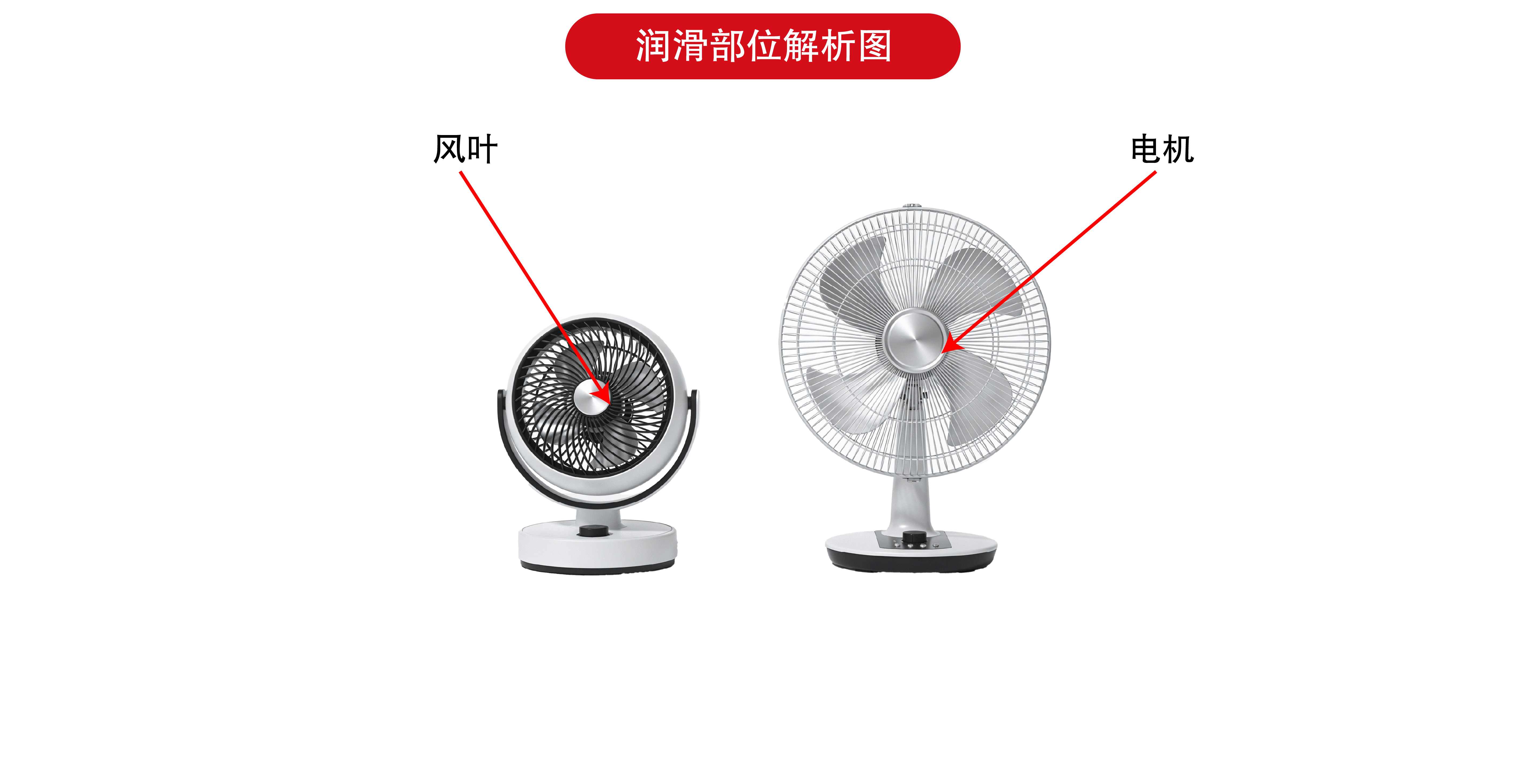 画板 1 副本 18@300x-8.png