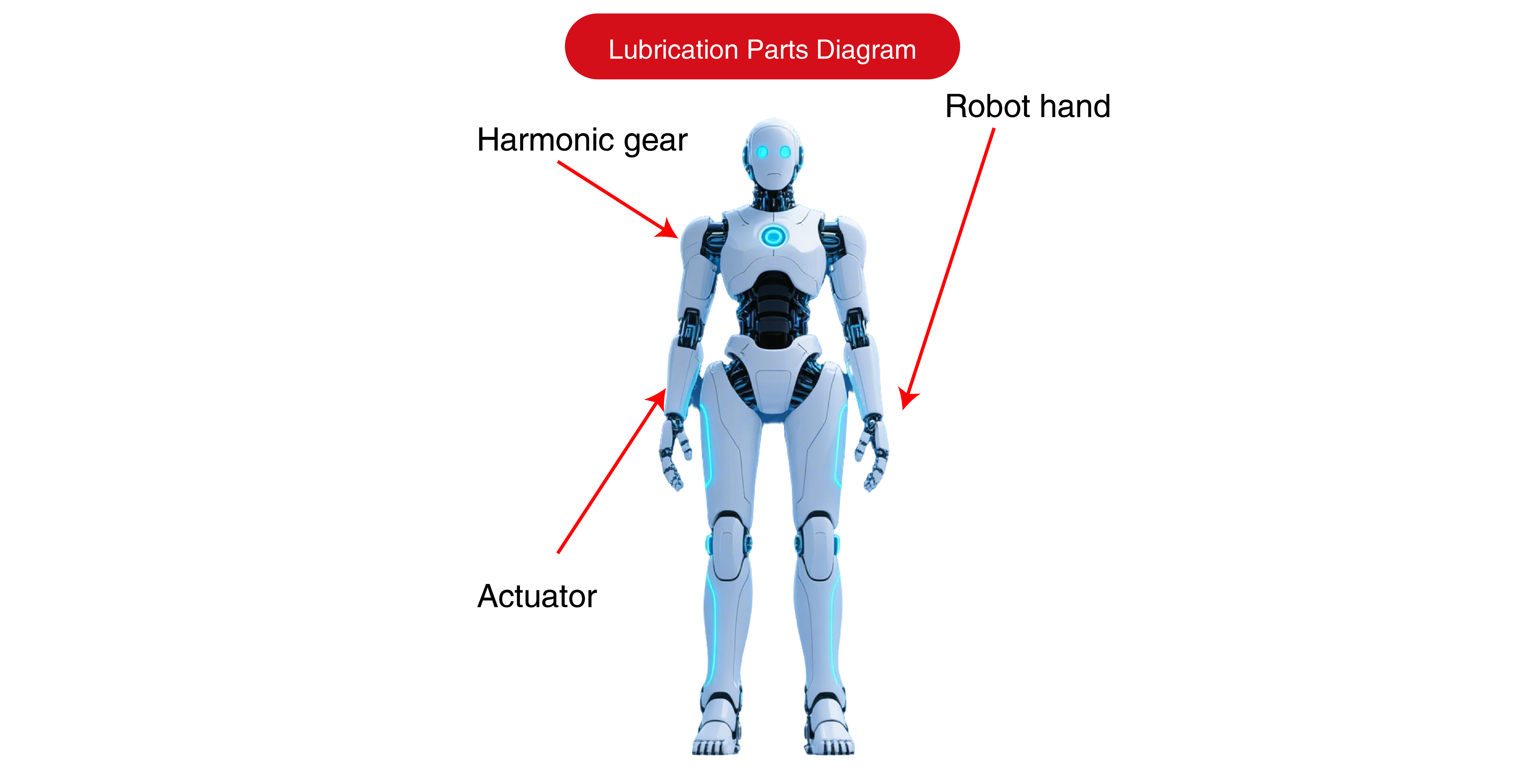 画板 1 副本 3.png