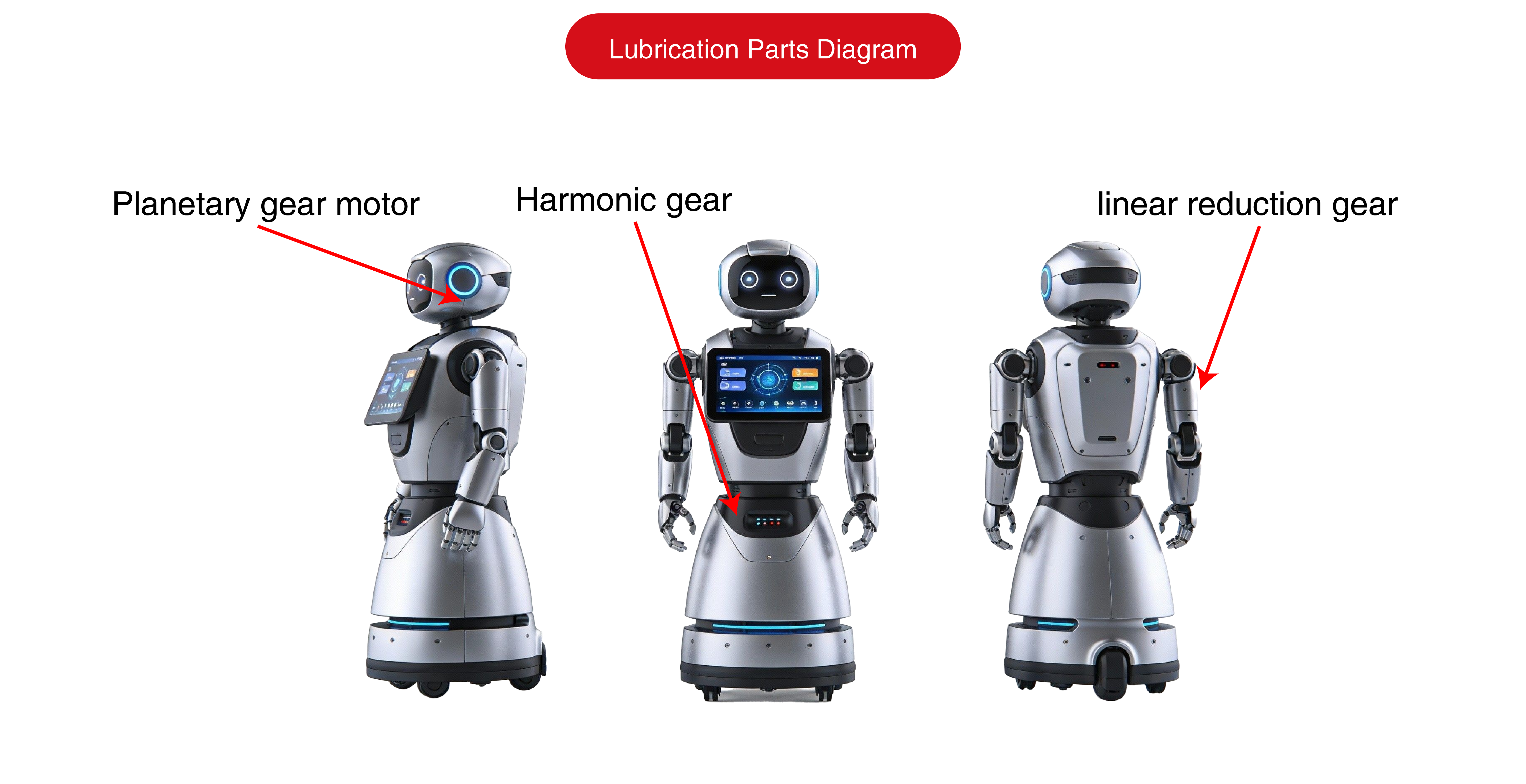 画板 1 副本 5.png