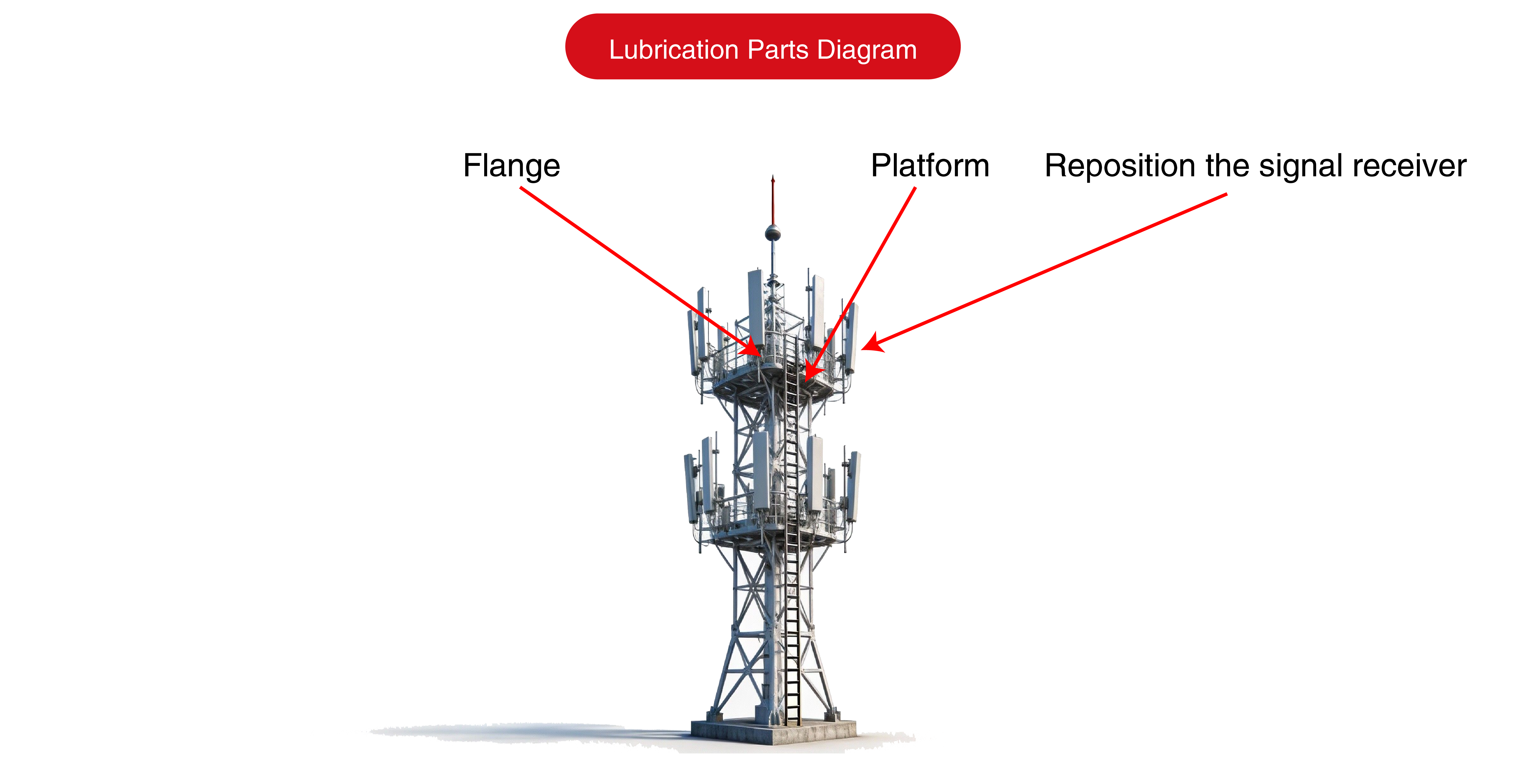 画板 1 副本 2.png