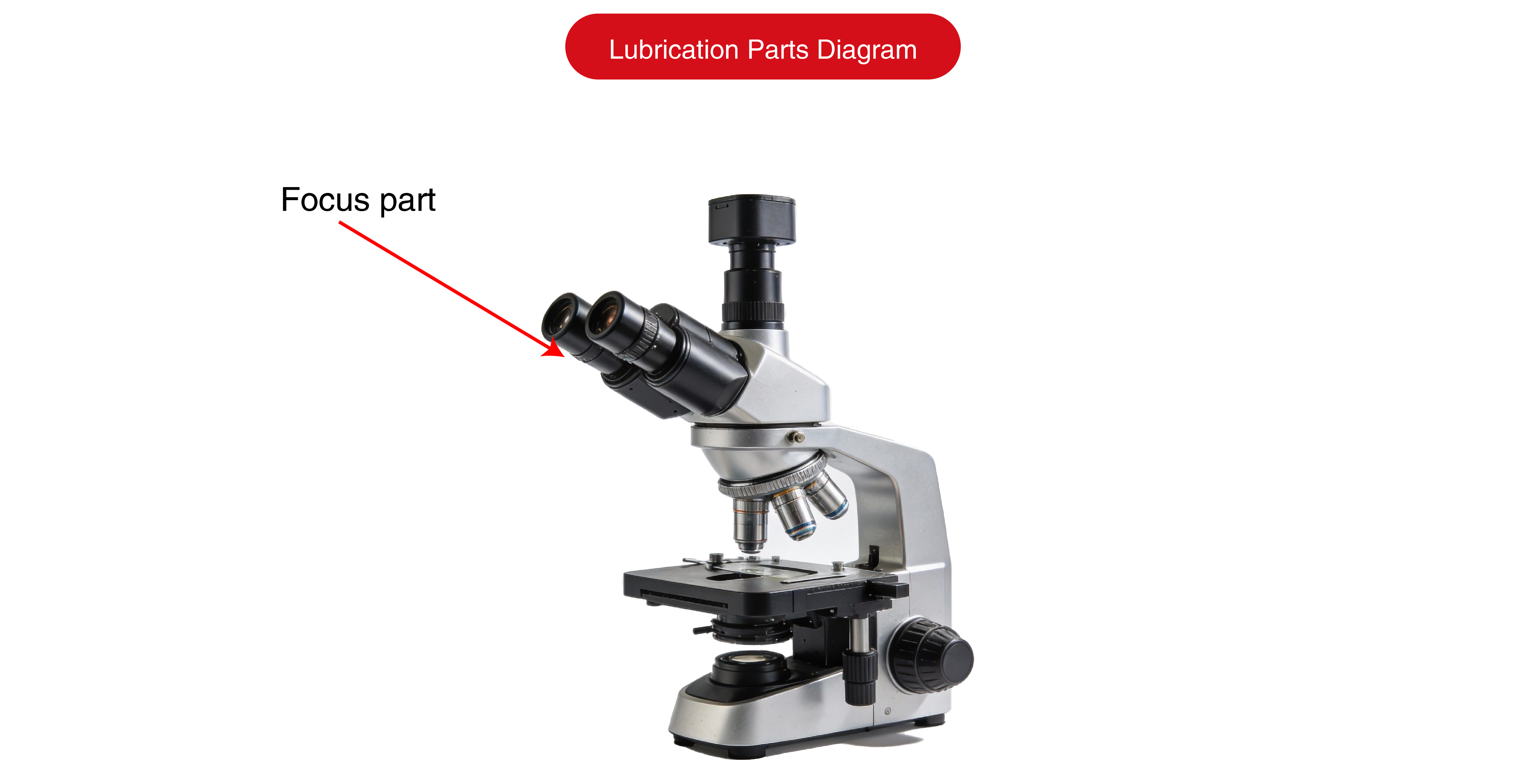 画板 1 副本 3.png