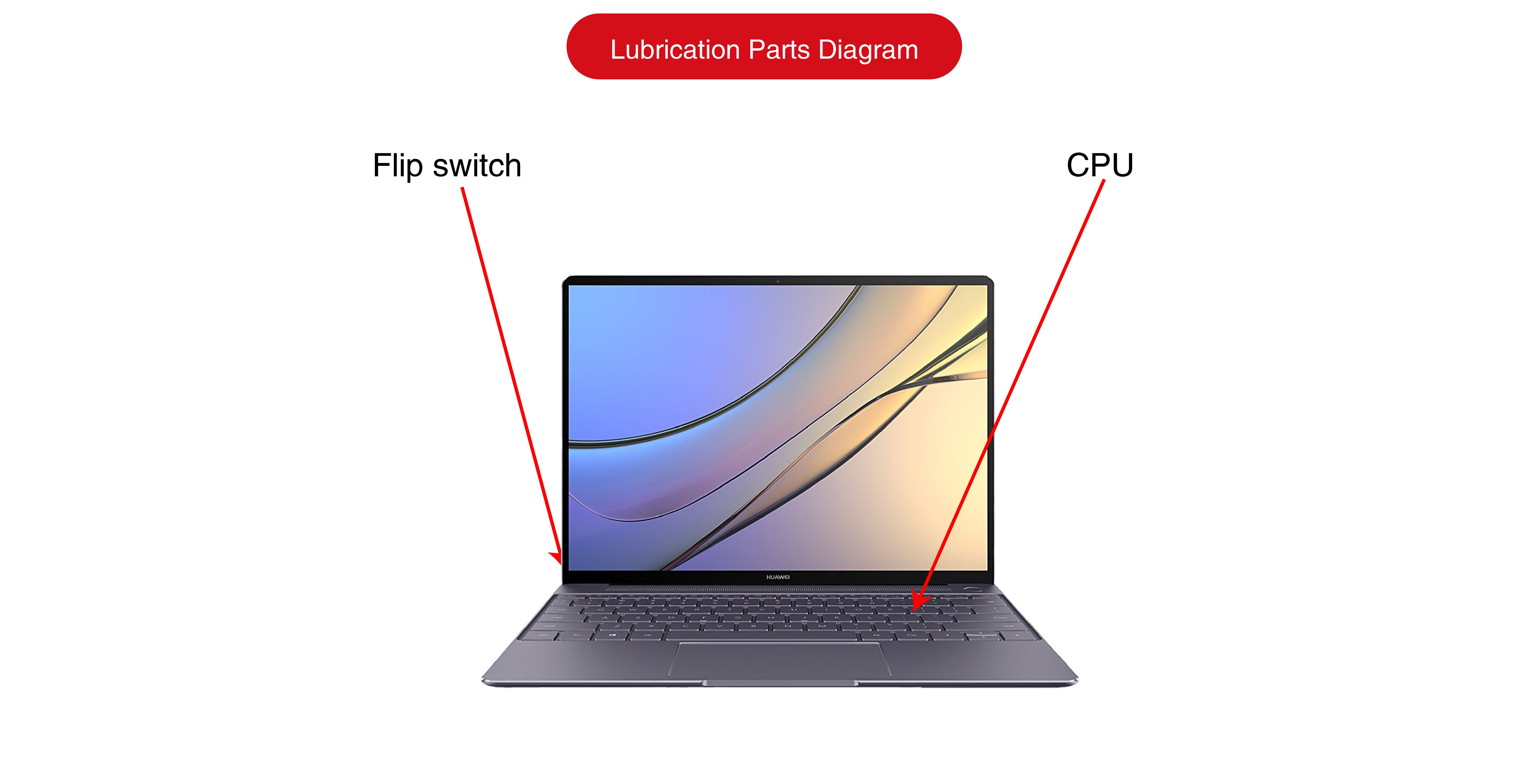 画板 1 副本 2.png